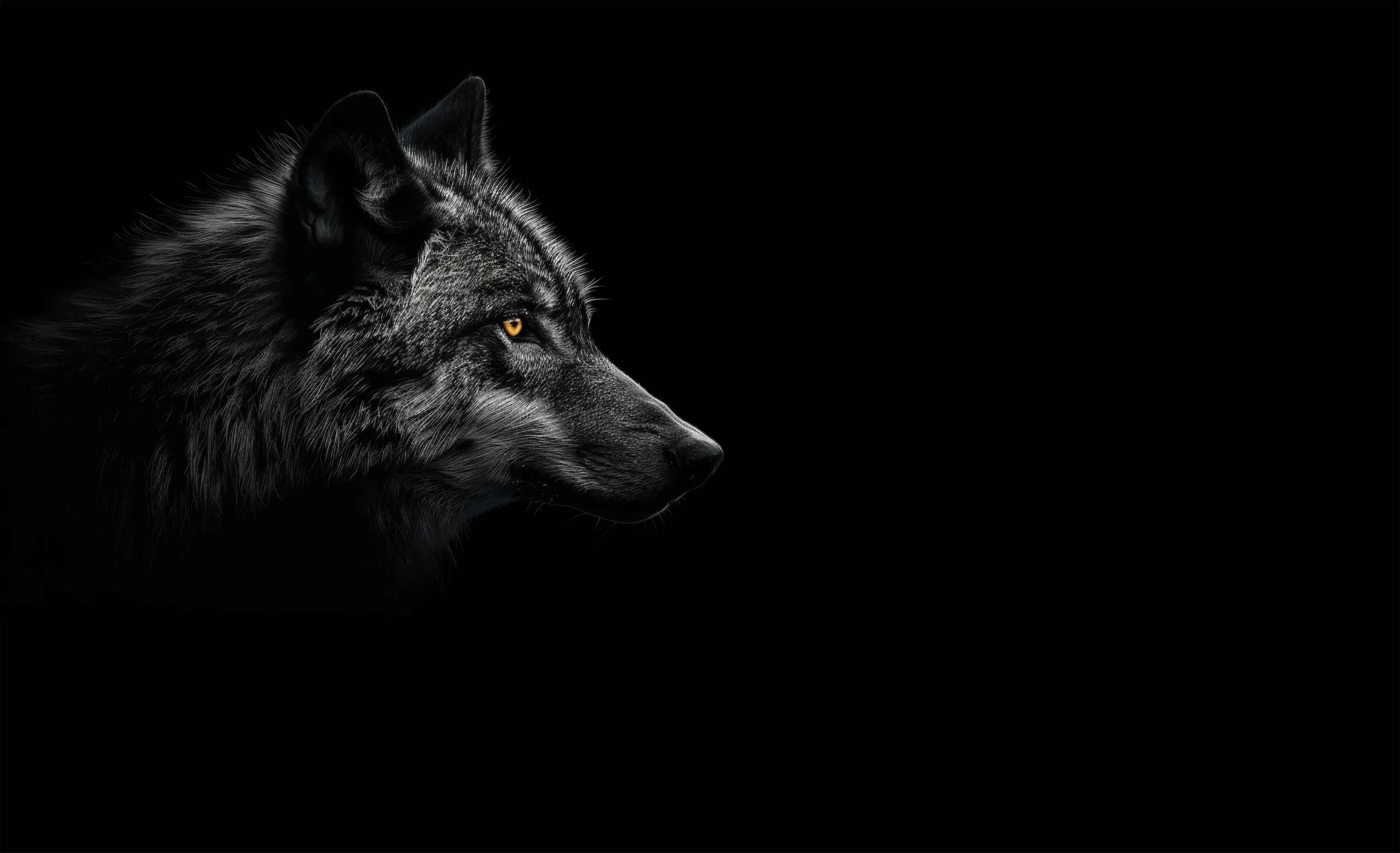 wild-wolf-natur2e3211-scaled